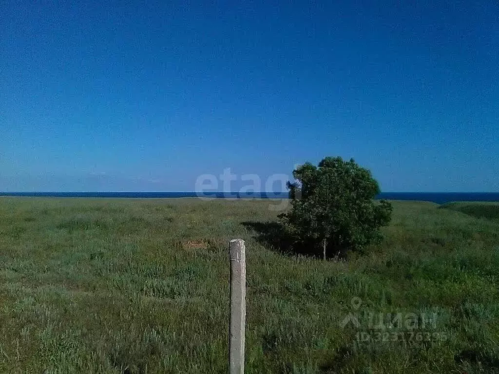 Участок в Крым, Черноморский район, с. Окуневка ул. Крупской (100.01 ... - Фото 1