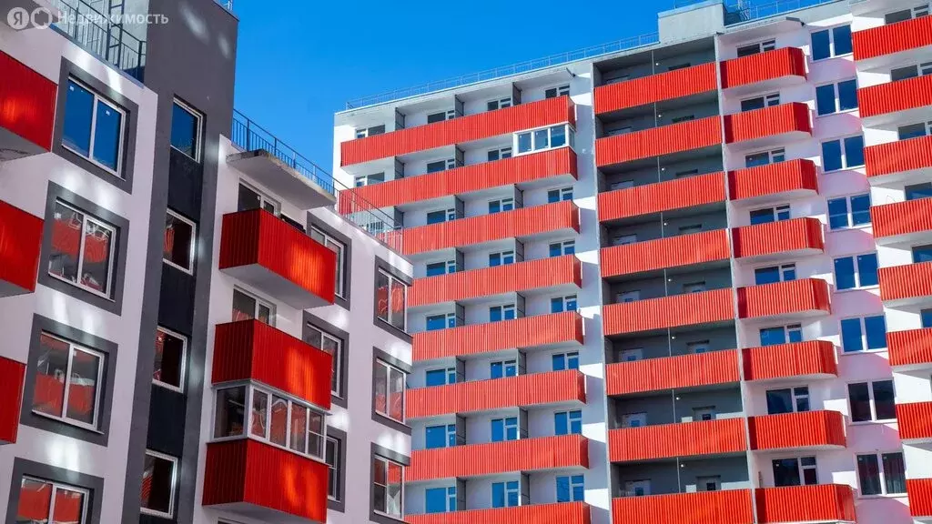 Квартира-студия: посёлок Шушары, Московское шоссе, 262к4 (26.9 м) - Фото 1