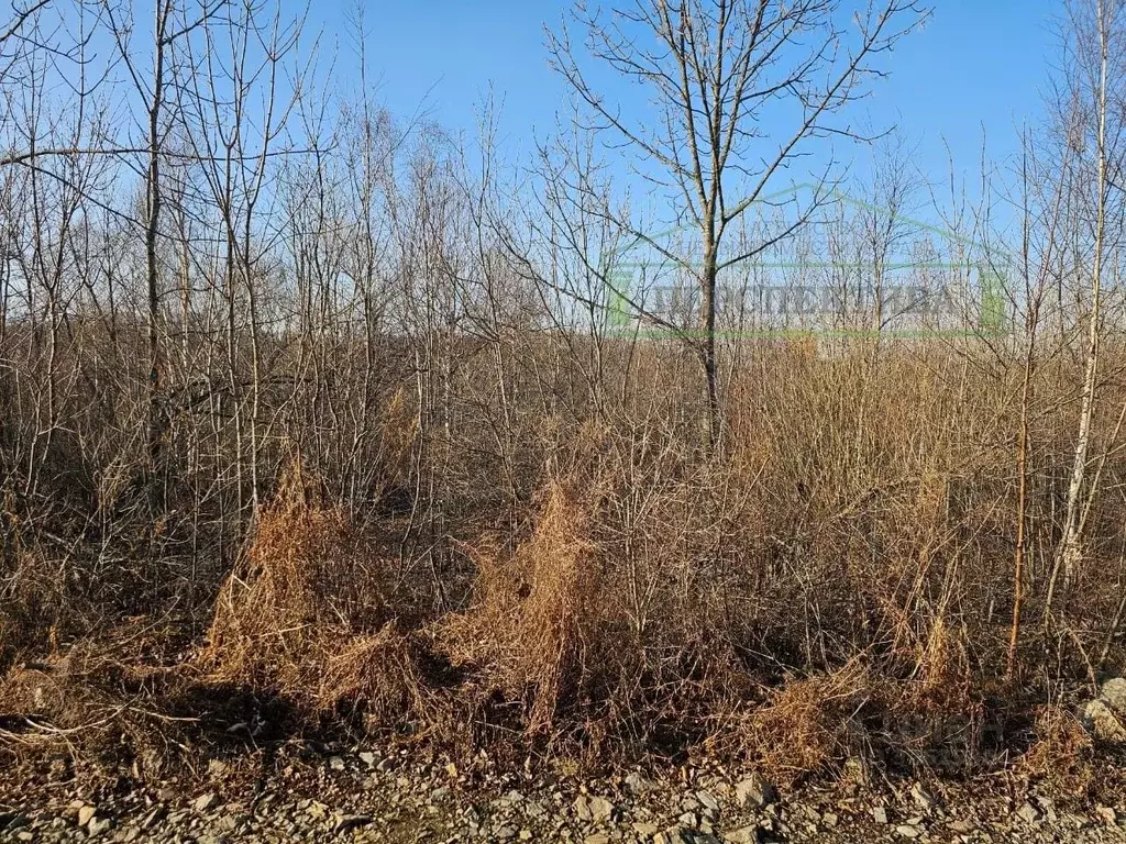 Участок в Приморский край, Артем Амур СНТ,  (10.0 сот.) - Фото 1