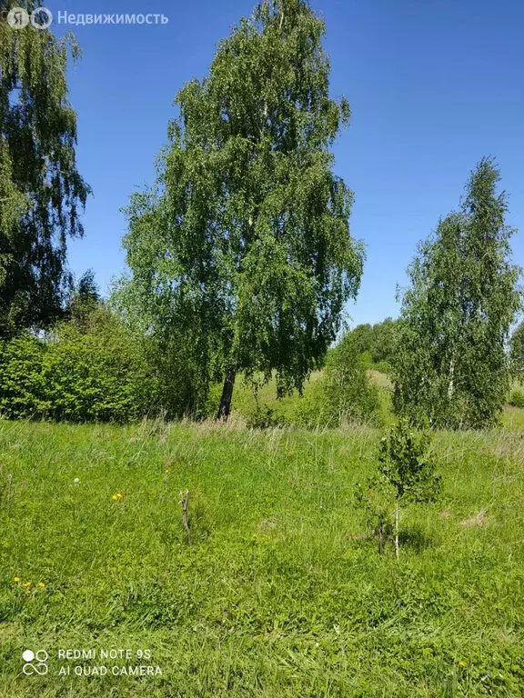 Участок в Спасский район, Панинское сельское поселение, село Панино ... - Фото 1
