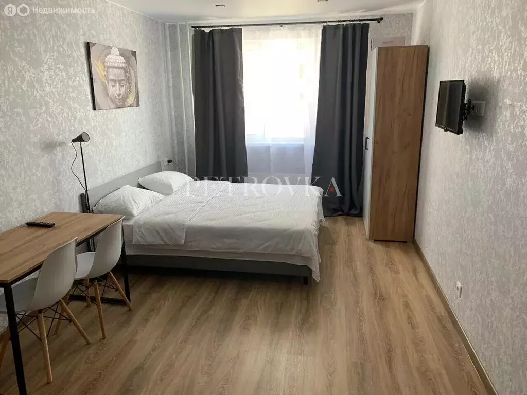 Квартира-студия: деревня Глухово, Романовская улица, 13 (24 м) - Фото 2