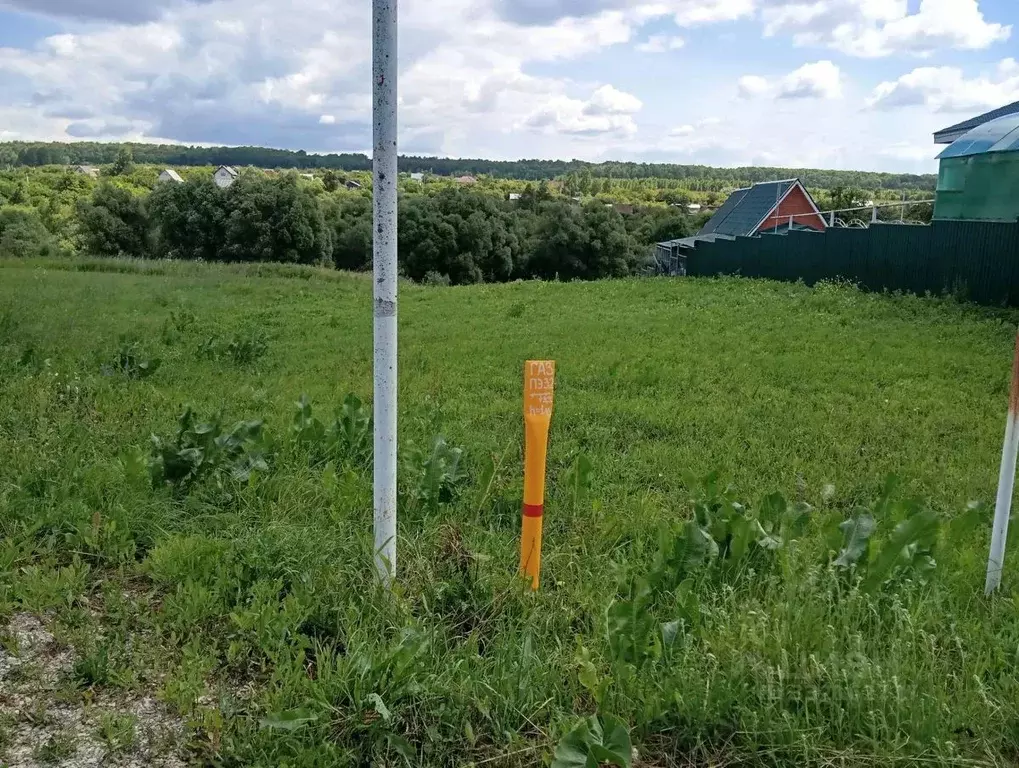 Участок в Пензенская область, Бессоновский район, с. Ухтинка Южная ... - Фото 1