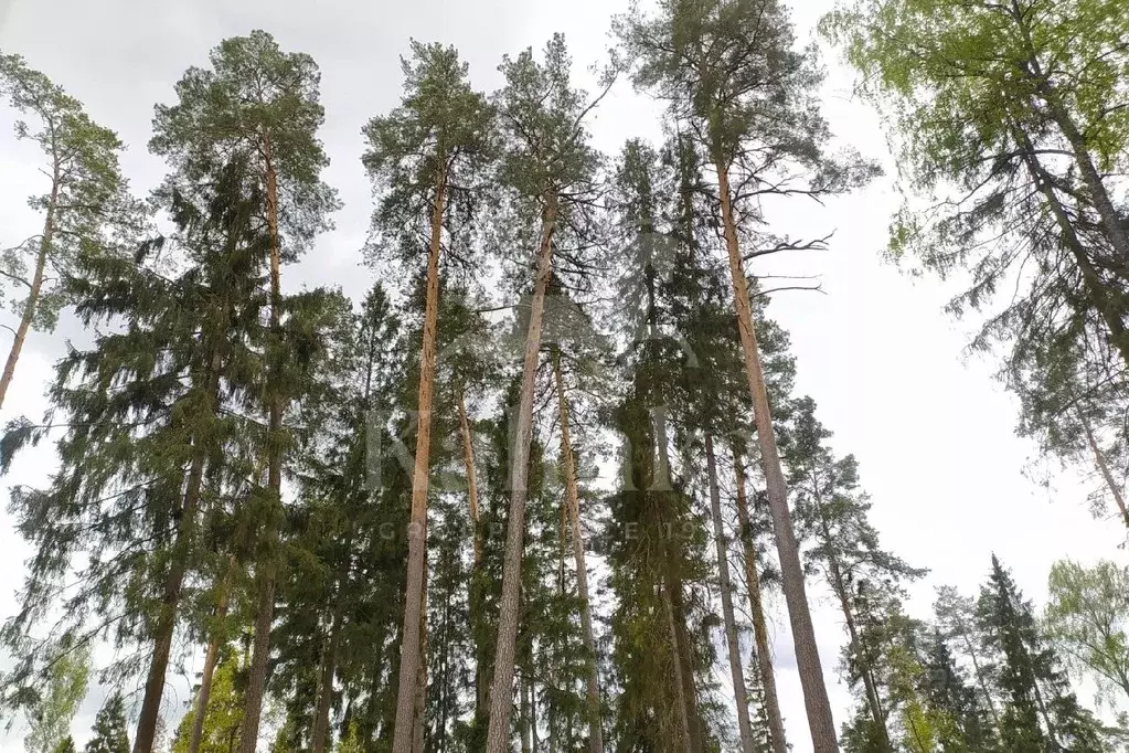 Участок в Московская область, Одинцовский городской округ, Геодар кп  ... - Фото 1