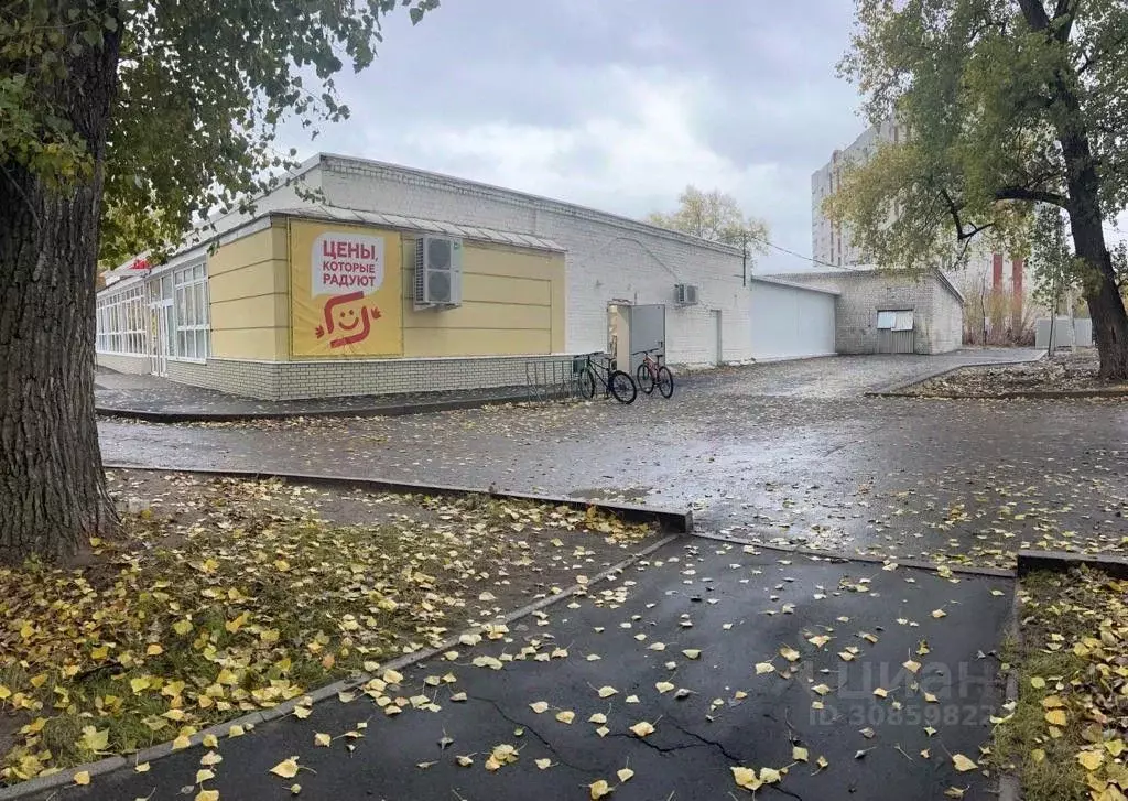 Помещение свободного назначения в Брянская область, Брянск ул. ... - Фото 1