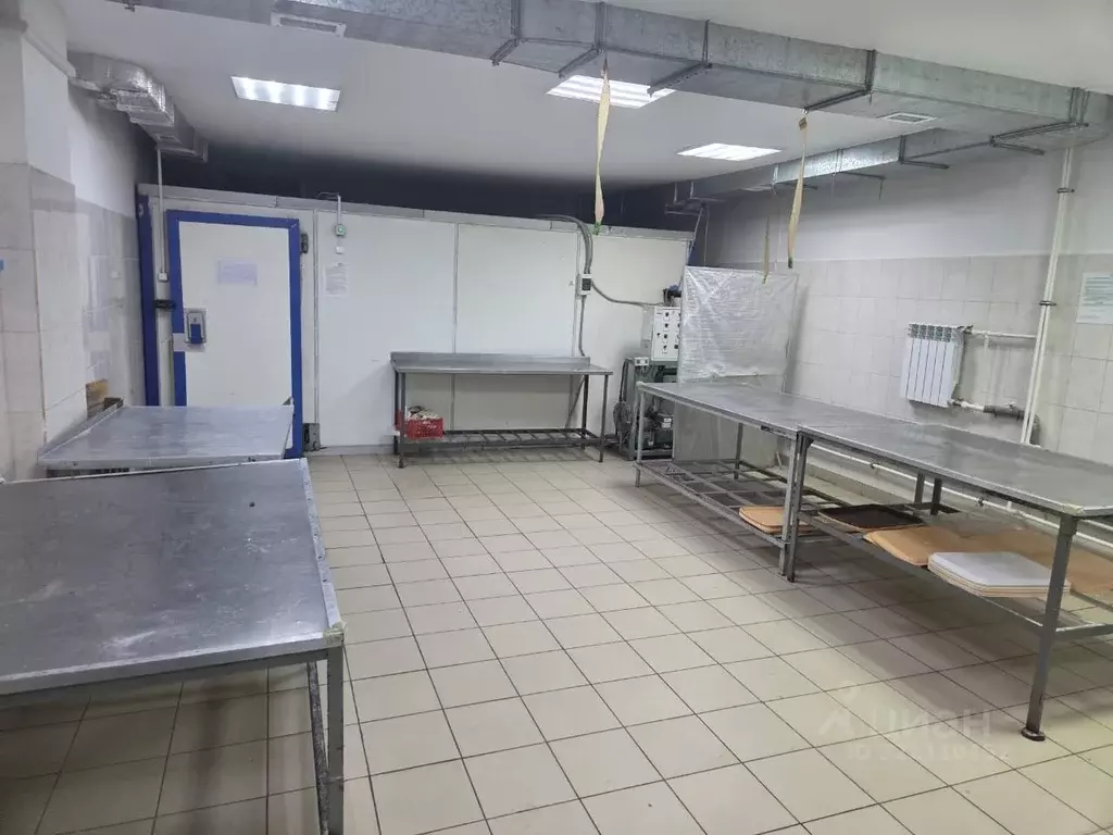 Производственное помещение в Татарстан, Казань ул. Салиха Сайдашева, ... - Фото 2