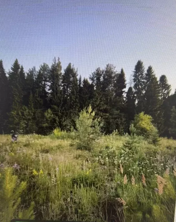 Участок в Кировская область, Слободской район, д. Шихово ул. Лесная ... - Фото 2