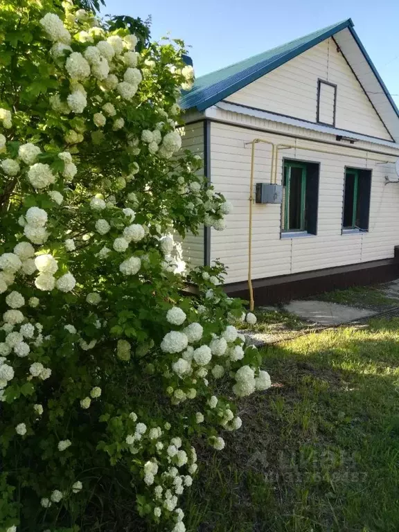 Дом в Саратовская область, Лысогорский район, Гремячинское ... - Фото 0