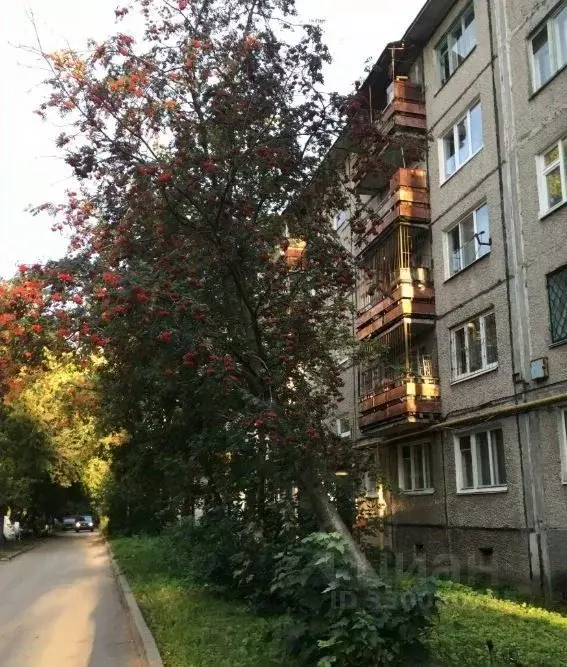 Свободной планировки кв. Пермский край, Пермь ул. Солдатова, 11 (23.5 ... - Фото 1