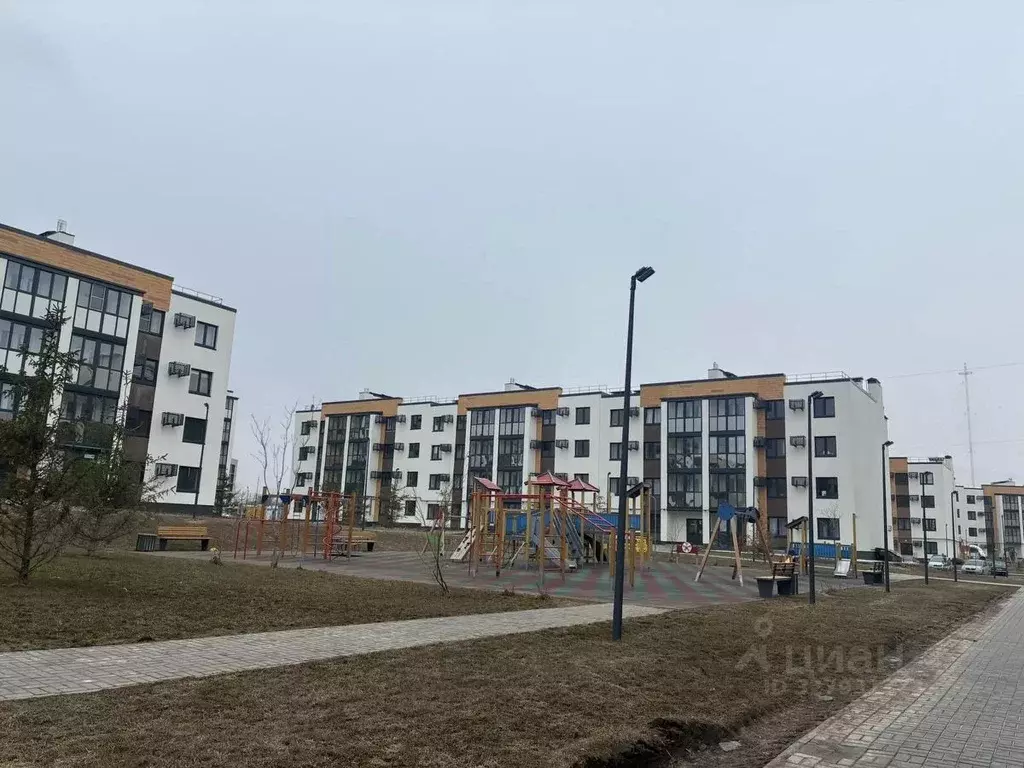 Студия Волгоградская область, Волгоград ул. Иссы Плиева, 6 (28.0 м) - Фото 2