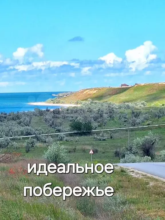 Дом 48,1 м на участке 56 сот. - Фото 0