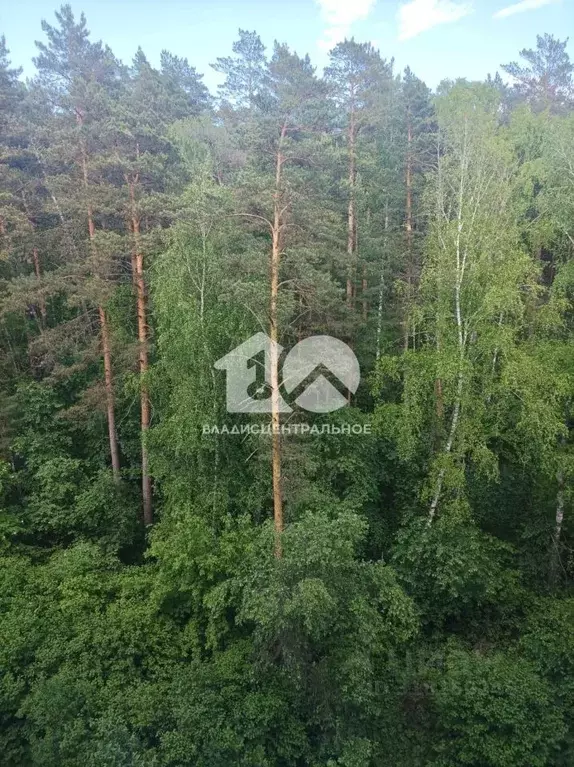 1-к кв. Новосибирская область, Новосибирск Нижняя Ельцовка мкр, ул. ... - Фото 0