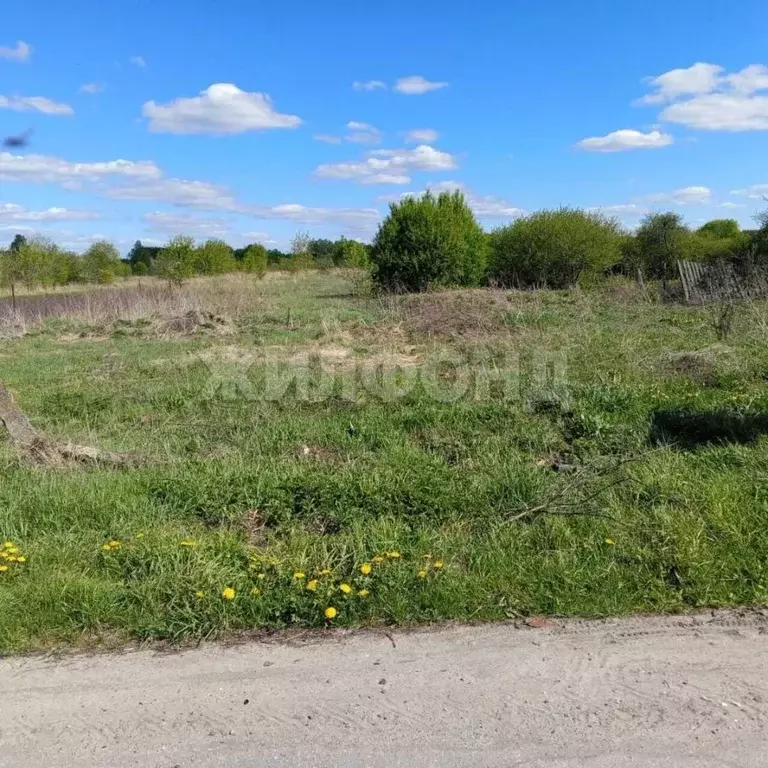 Участок в Брянская область, Карачевский район, Верхопольское с/пос, с. ... - Фото 2