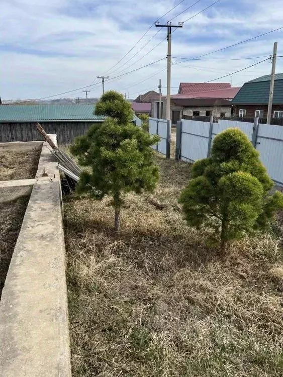 Участок в Иркутская область, Иркутский муниципальный округ, с. Мамоны ... - Фото 2
