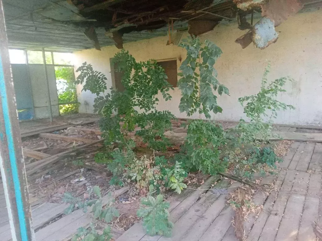 Помещение свободного назначения в Краснодарский край, Кореновский ... - Фото 2