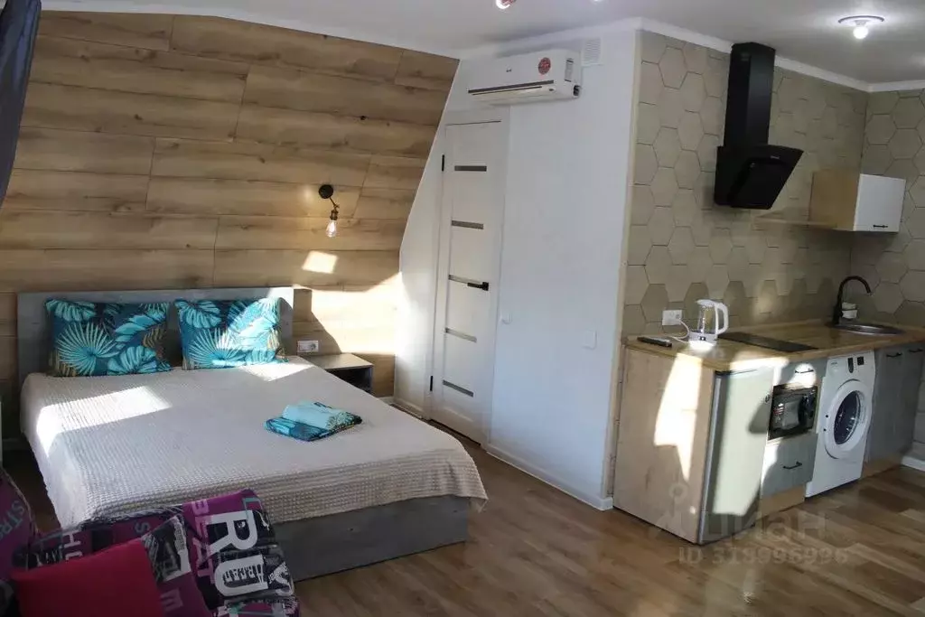 Студия Алтайский край, Барнаул ул. Льва Толстого, 13А (26.0 м) - Фото 1