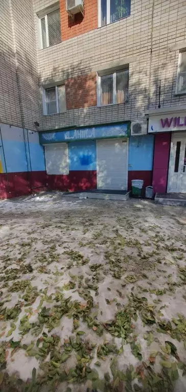 Помещение свободного назначения в Алтайский край, Барнаул ул. Антона ... - Фото 1