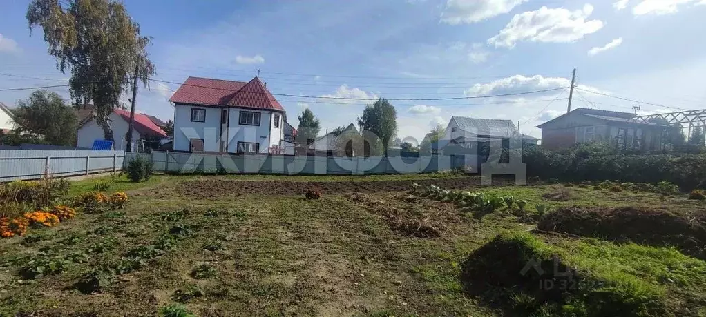 Участок в Новосибирская область, Бердск Заречное садовое товарищество, ... - Фото 2