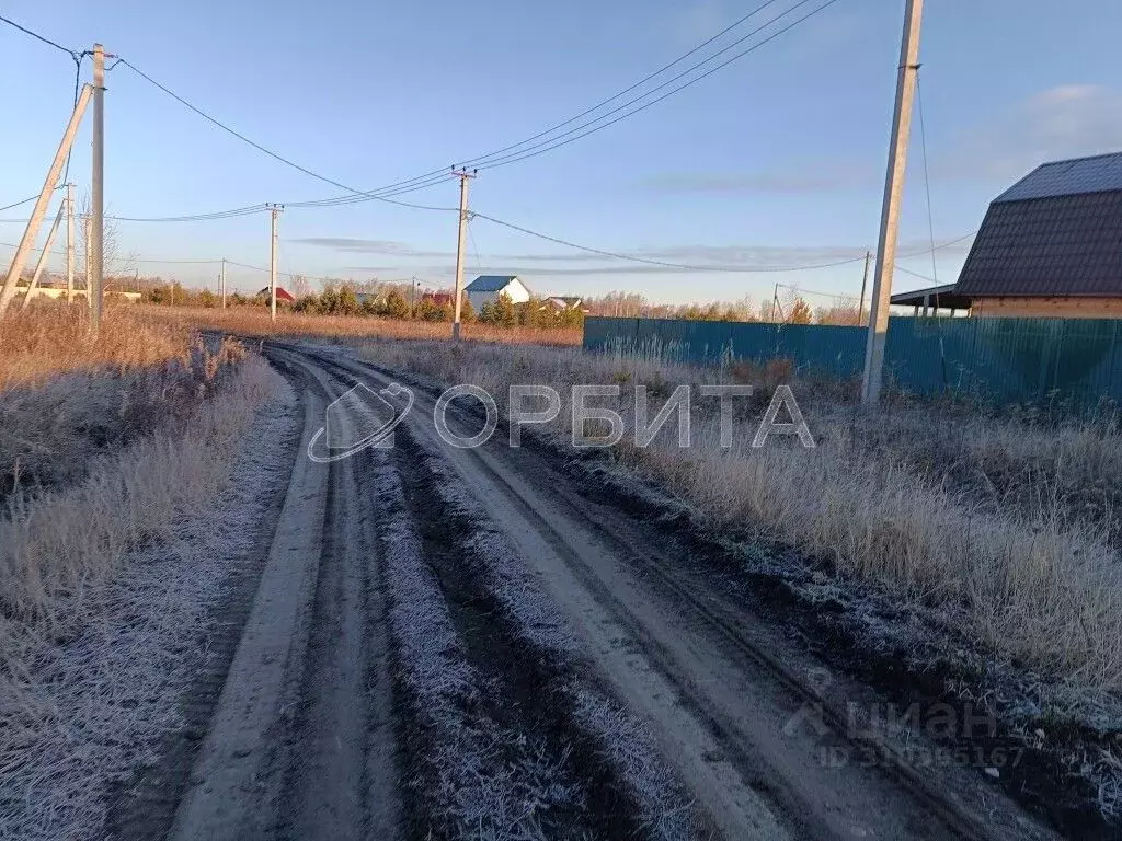 Участок в Тюменская область, Тюменский район, Лоза СНТ ул. 8-я (8.3 ... - Фото 0