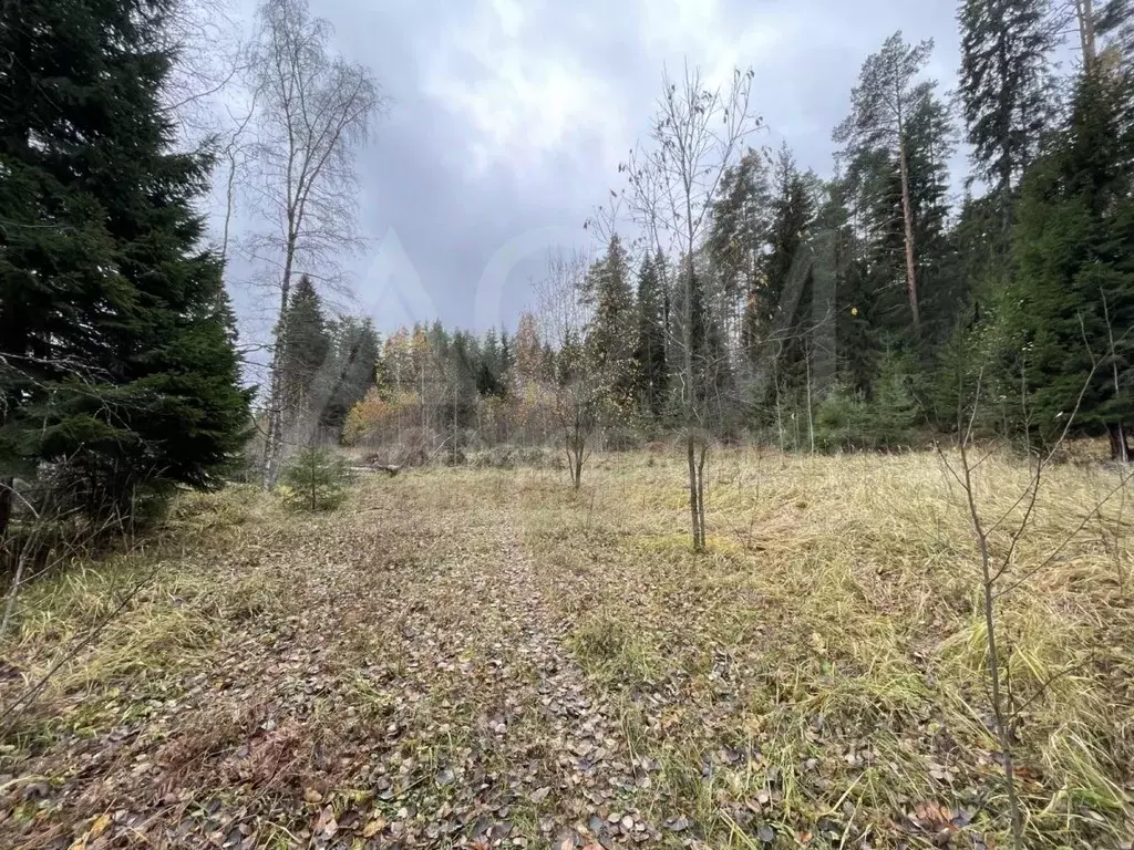 Участок в Ленинградская область, Приозерское городское поселение, пос. ... - Фото 1
