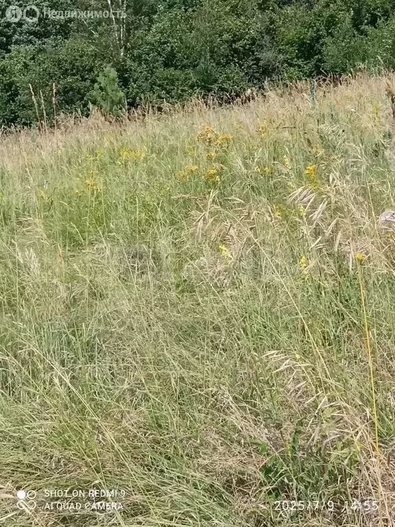 Участок в Лямбирский район, село Александровка (12 м) - Фото 2