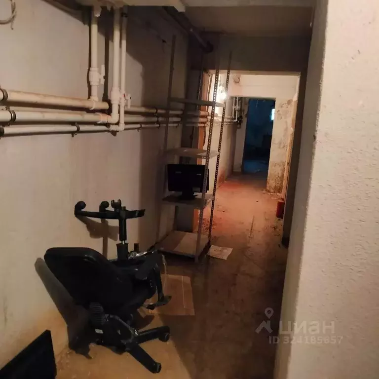 Помещение свободного назначения в Удмуртия, Ижевск ул. Карла Маркса, ... - Фото 2