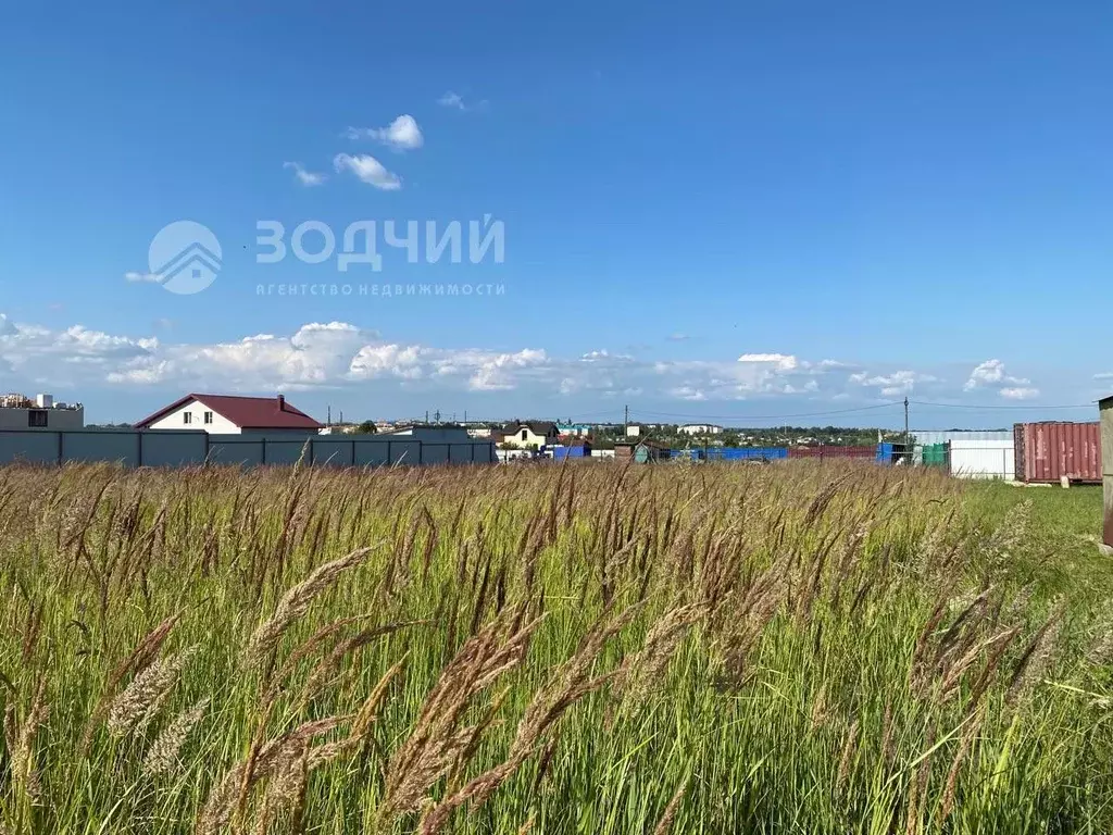 Участок в Чувашия, Канашский муниципальный округ, д. Келте-Сюле  (10.0 ... - Фото 2