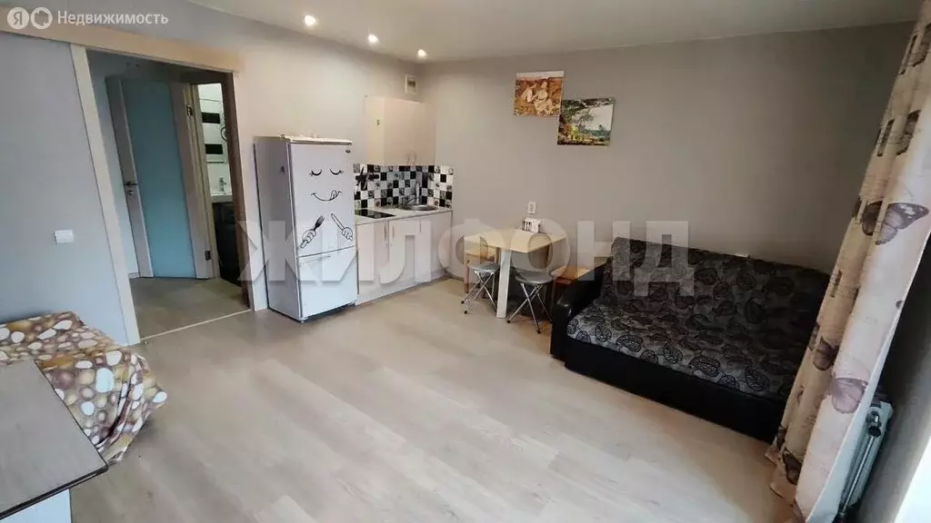 Квартира-студия: Новосибирск, микрорайон Стрижи, 4 (25.3 м) - Фото 1