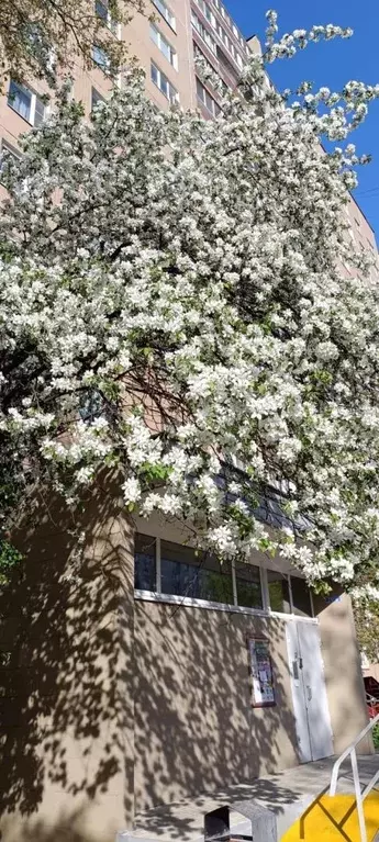 Продается 3-комнатная квартира - Фото 2