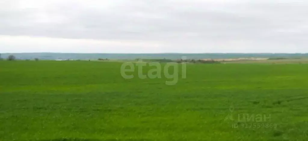 Участок в Крым, Феодосия муниципальный округ, Приморский пгт ул. ... - Фото 1