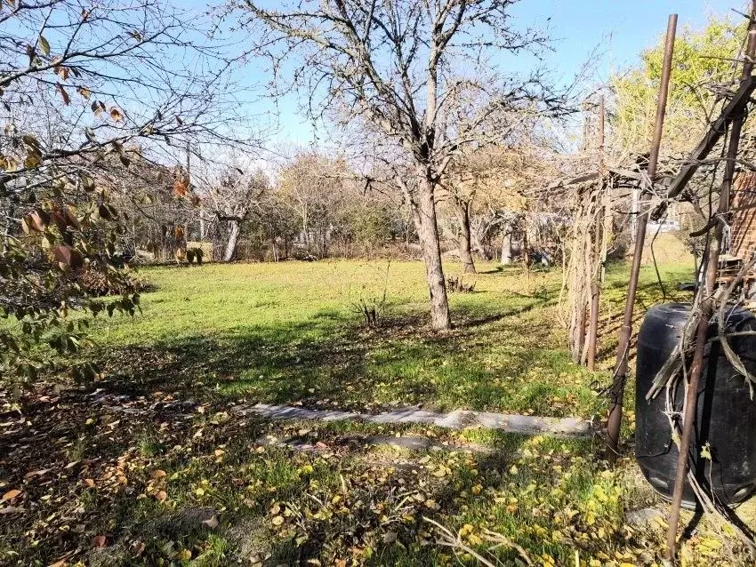 Участок в Ростовская область, Азовский район, Елизаветинское с/пос, ... - Фото 1