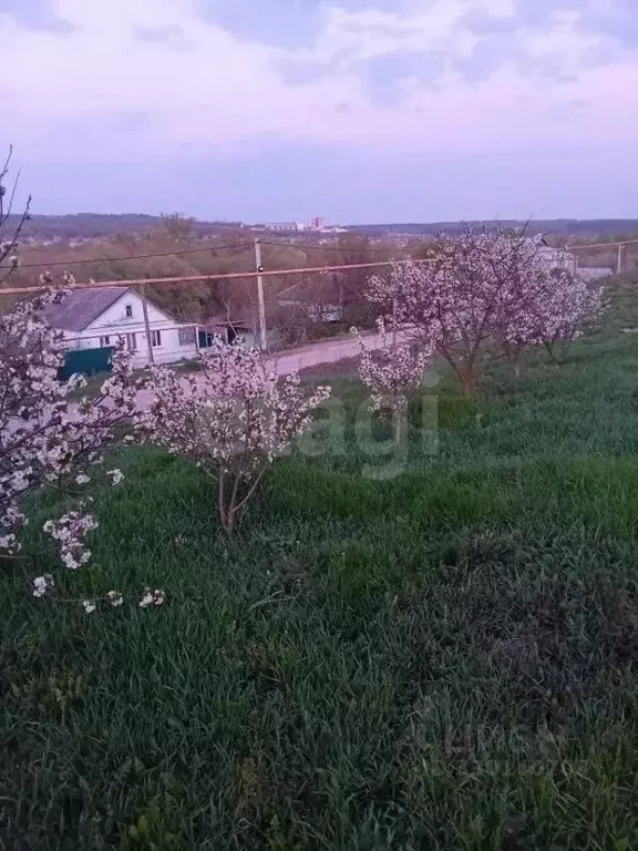 Участок в Белгородская область, Красногвардейский муниципальный округ, ... - Фото 2