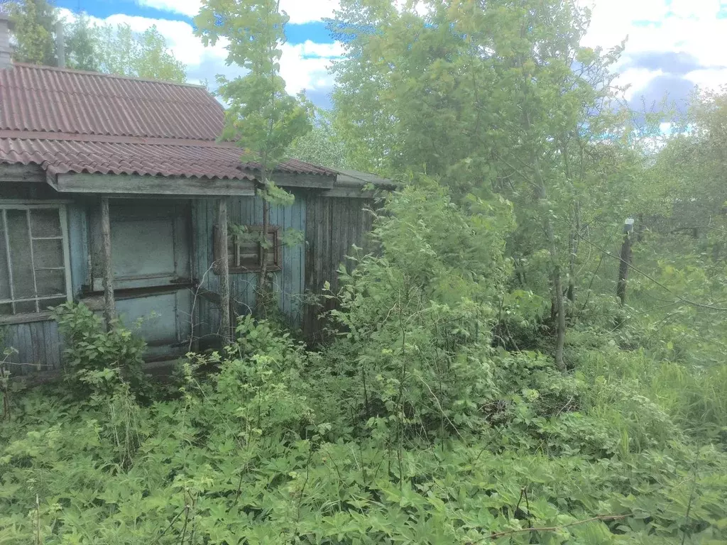 Участок в Ленинградская область, Выборгский район, Красносельское ... - Фото 2