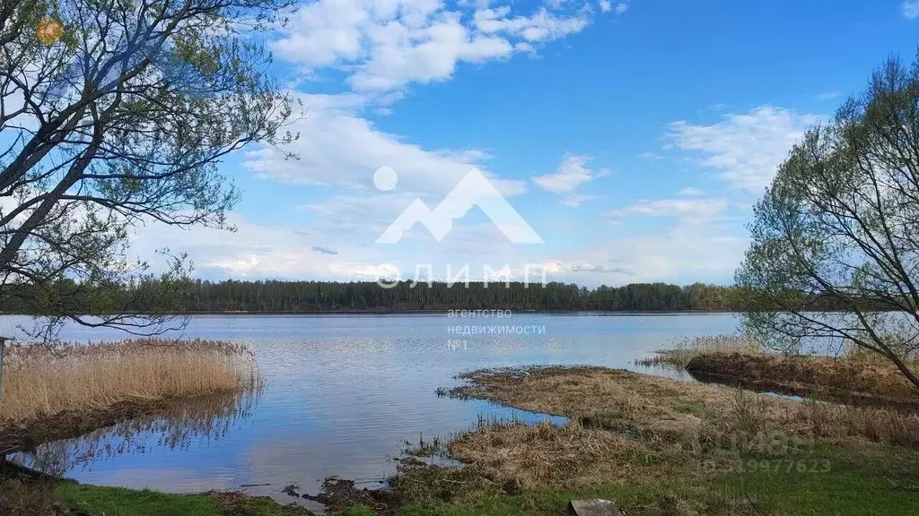 Дом в Ярославская область, Некрасовский муниципальный округ, Красный ... - Фото 1