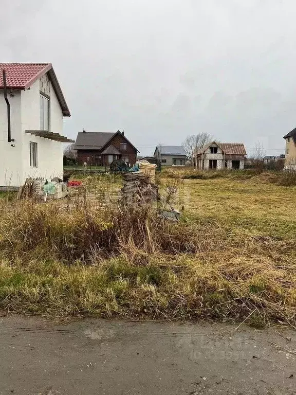 Участок в Калининградская область, Гурьевский муниципальный округ, ... - Фото 1