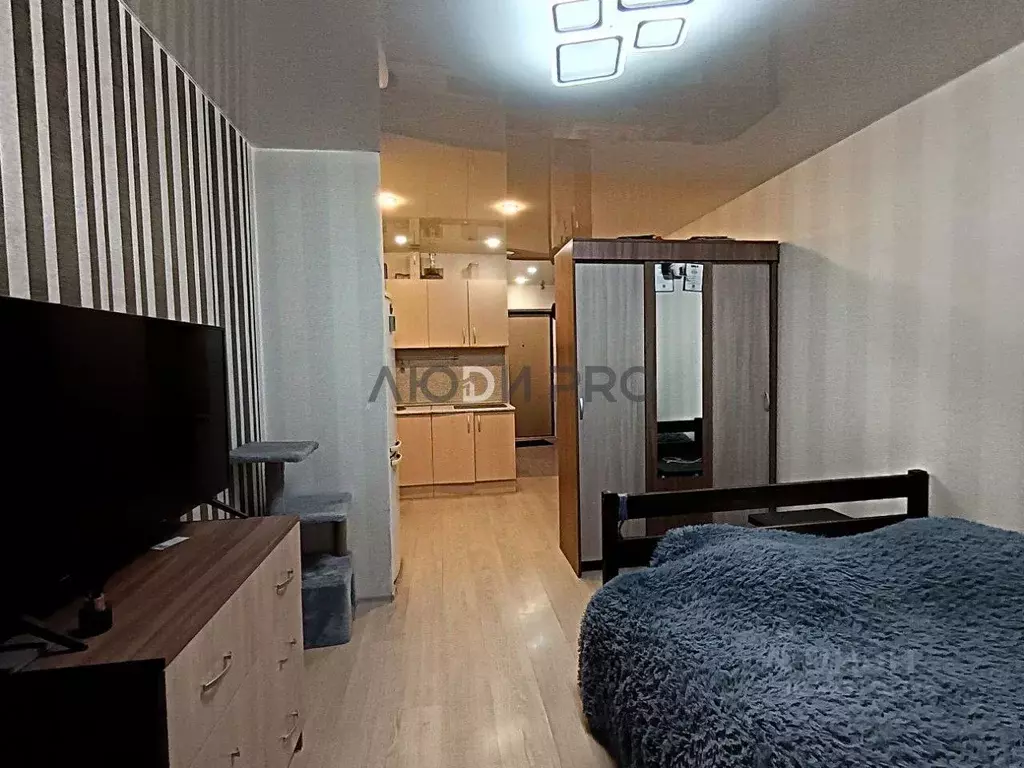 Студия Кировская область, Киров ул. Василия Жуковского, 4А (23.2 м) - Фото 2