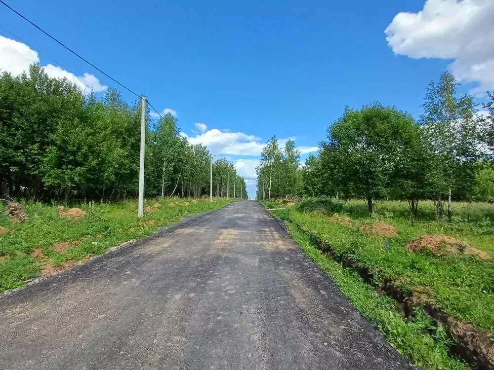 Участок в Владимирская область, Александровский район, Каринское ... - Фото 1