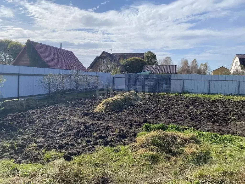 Участок в Тюменская область, Тюмень Луч СНТ, ул. Ивовая (8.55 сот.) - Фото 1