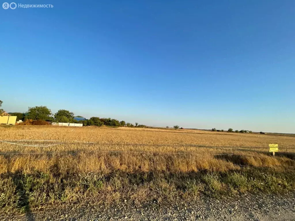 Участок в Кухаривка, Социалистическая улица (8 м) - Фото 1