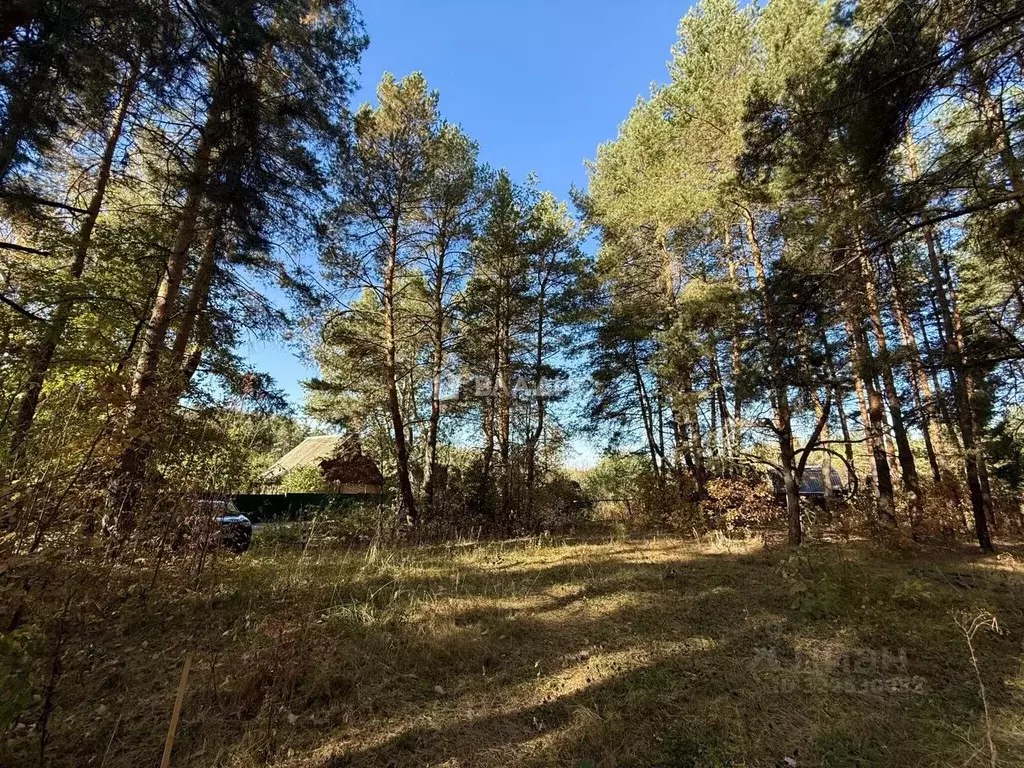 Участок в Пензенская область, Пенза Вишенка СНТ,  (6.5 сот.) - Фото 2