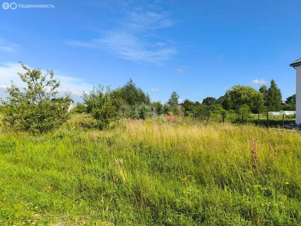 Участок в посёлок городского типа Янтарный, СНТ Садовник, Дружная ... - Фото 1