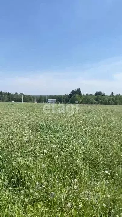 Участок в Пермский край, Краснокамский городской округ, пос. Ласьва  ... - Фото 1