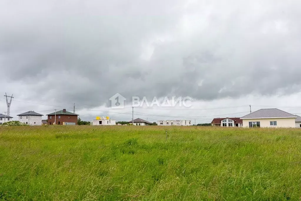 Участок в Владимирская область, Суздальский район, Новоалександровское ... - Фото 0