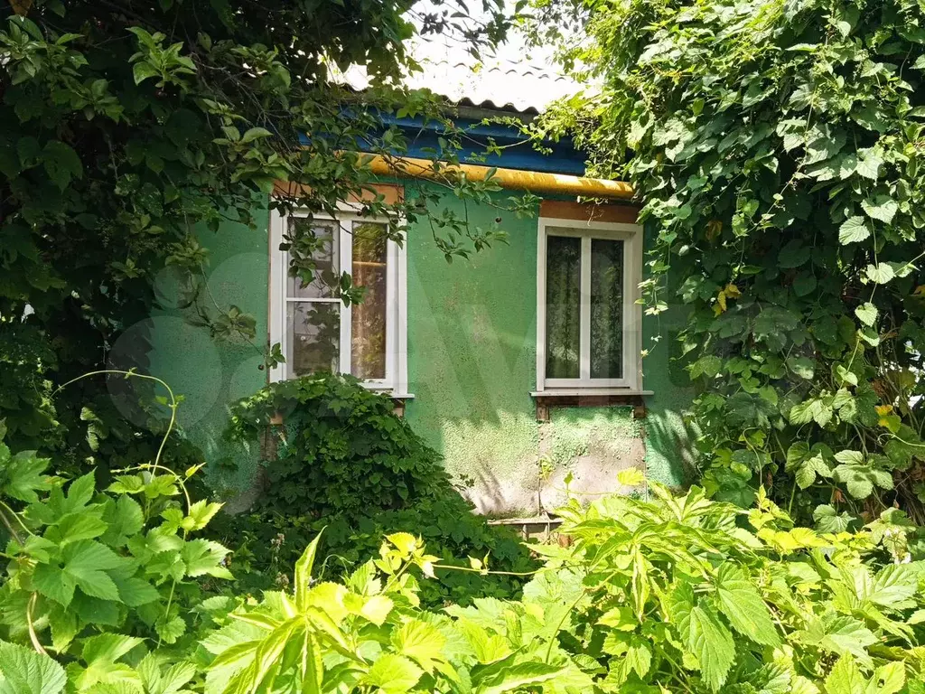 Дом 50,9 м на участке 8 сот. - Фото 0