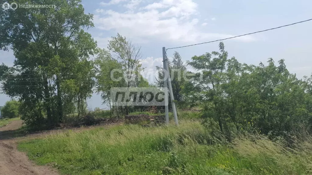 Участок в деревня Щетинка, 146 (9 м) - Фото 0
