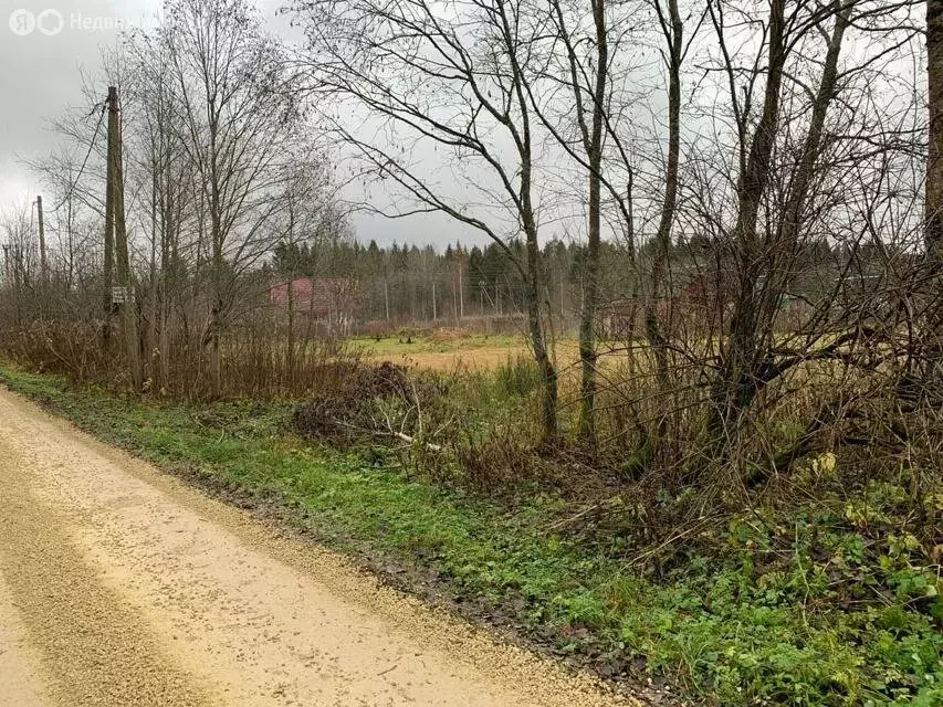 Участок в Ленинградская область, Гатчинский муниципальный округ, СНТ ... - Фото 2