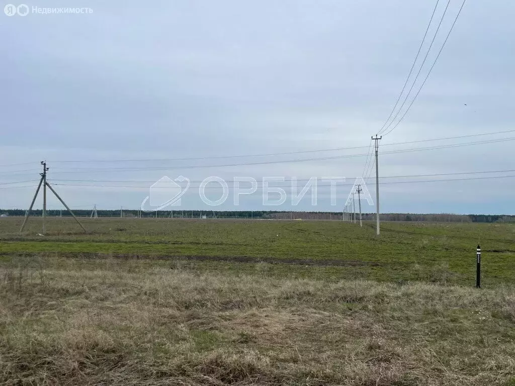Участок в Тюменский муниципальный округ, деревня Малиновка, улица ... - Фото 1