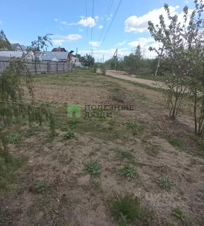 Участок в Татарстан, Зеленодольский район, Васильево муниципальное ... - Фото 1