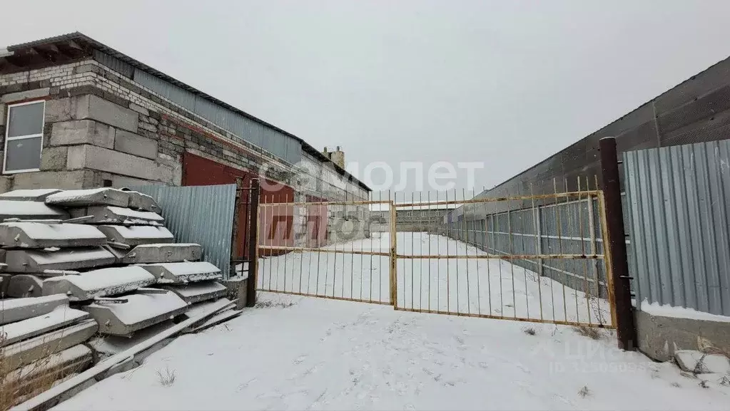 Производственное помещение в Тюменская область, Тюмень Антипино мкр, ... - Фото 2