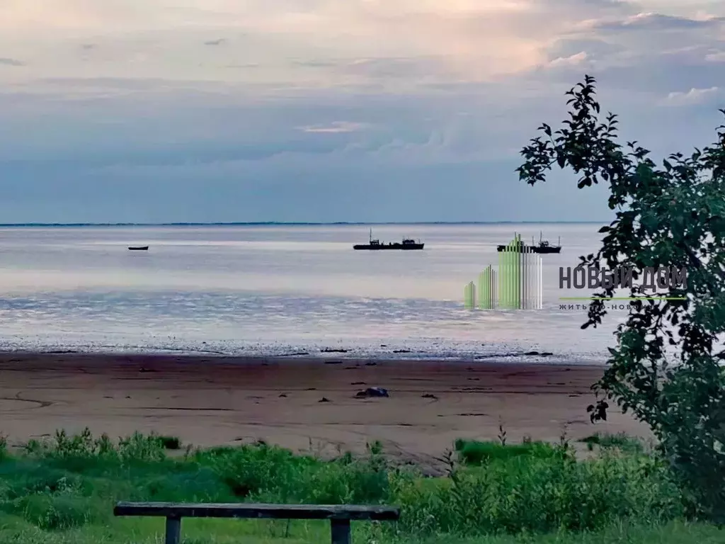 Участок в Новгородская область, Старорусский муниципальный округ, д. ... - Фото 1