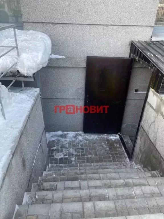 Помещение свободного назначения в Новосибирская область, Новосибирск ... - Фото 1